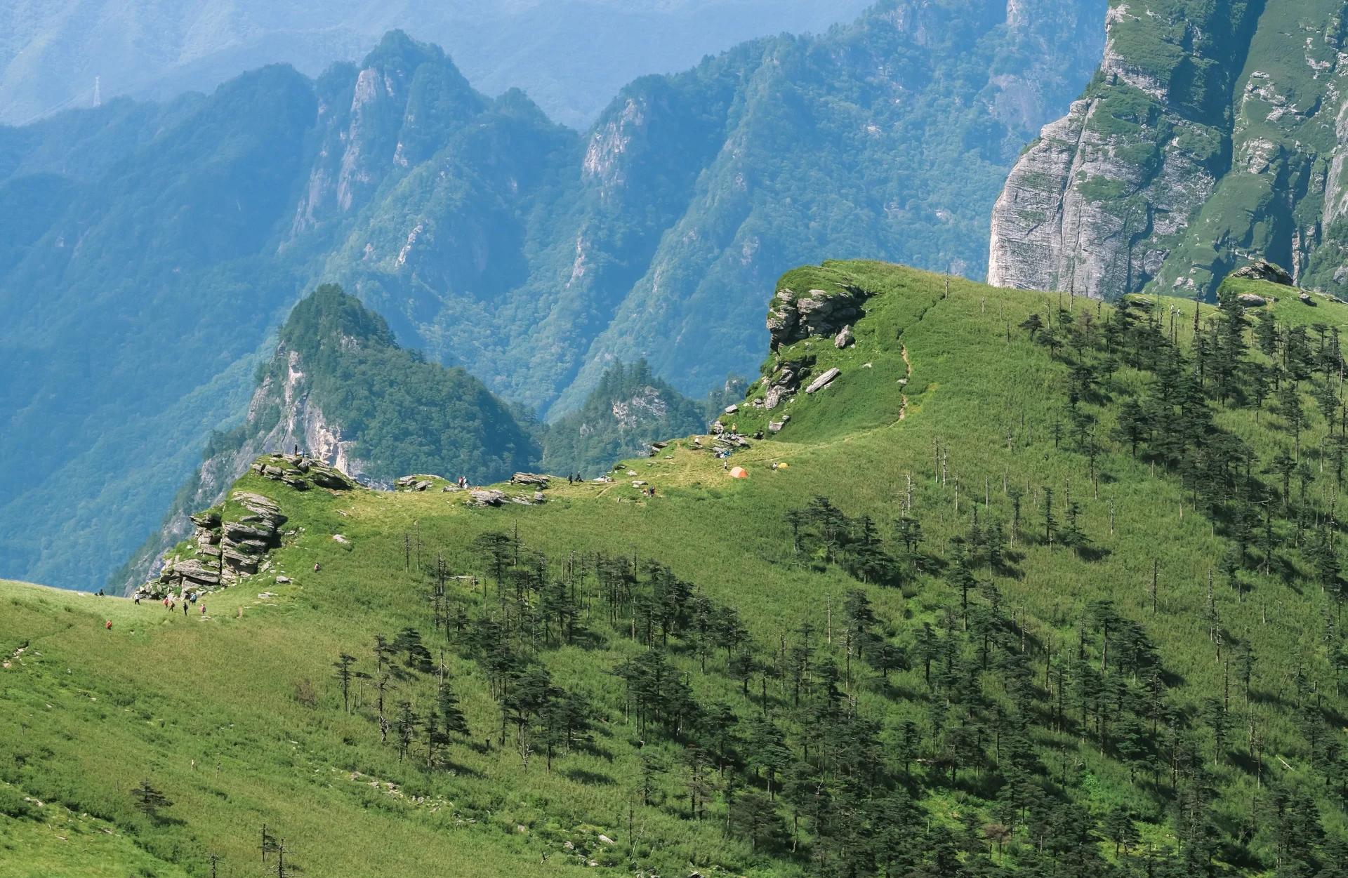 杨林鸡窝三大必去打卡地全攻略