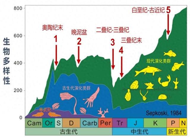 第二次生物大灭绝原因 泥盆纪生物灭绝事件
