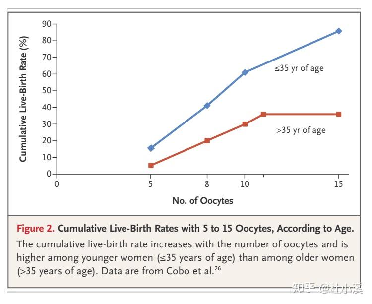 冻卵这颗“后悔药”该不该吃？...