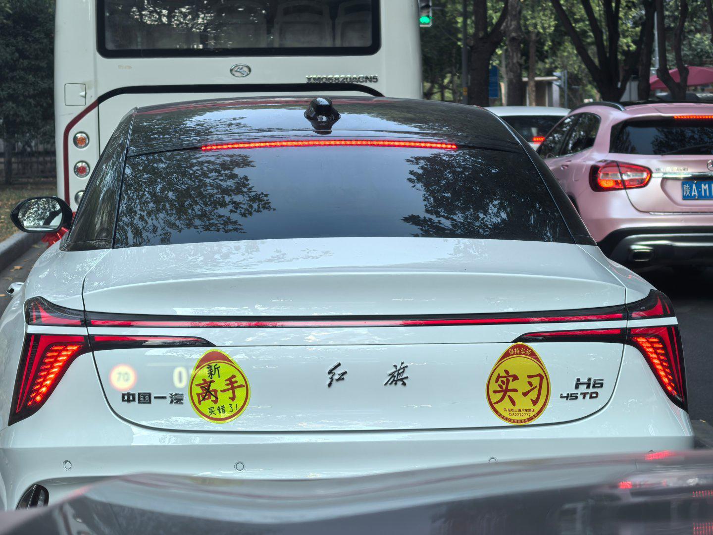 唐人阁论坛品茶入门指南：从新手到行家的轻松之旅