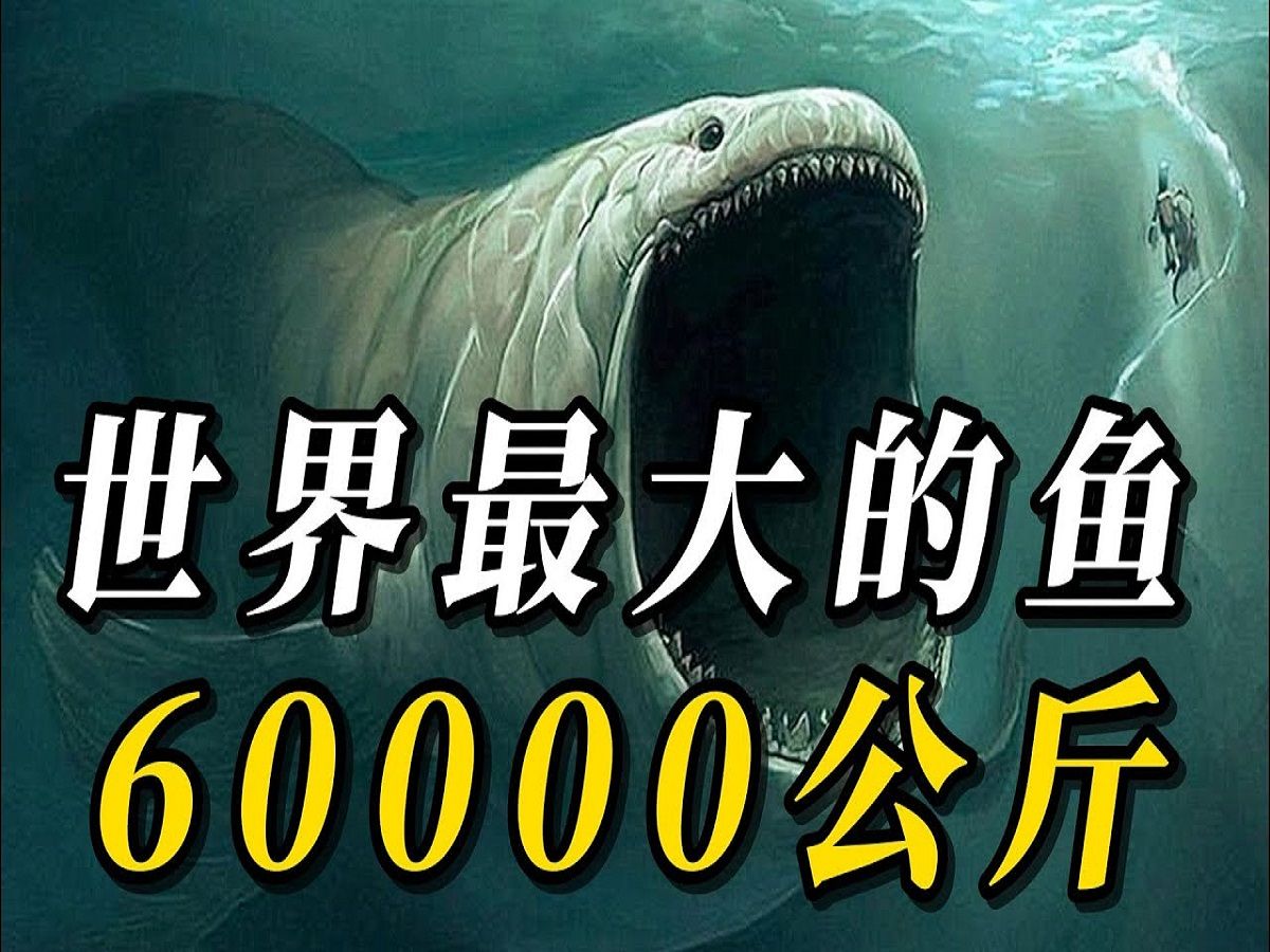 世界上最大的鱼是什么鱼 史前最大鱼类揭秘