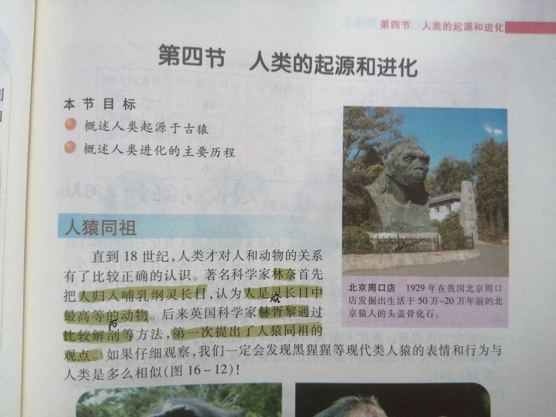 生命起源于何处？陨石中发现古微生物化石，地球形成前...