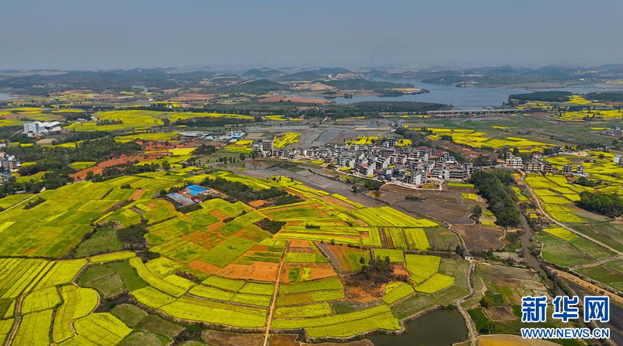 余干车站50元小胡同到底藏着什么秘密？