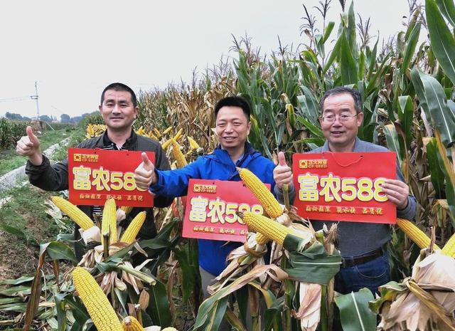 内江4小时588元不限次数