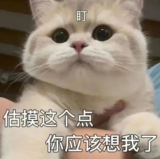 表情包走红背后逻辑 年轻人为何热衷斗图