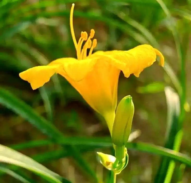 水宜坊SPA系列：从肌肉放松到能量重启的全方位解决方案