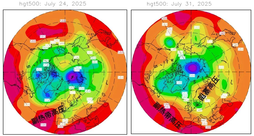 山火肆虐、罕见高温、柴油泄漏，北极圈遭遇危机，地球...