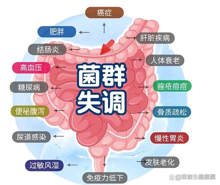 肠道菌群紊乱常见表现 肠道健康如何影响整体健康