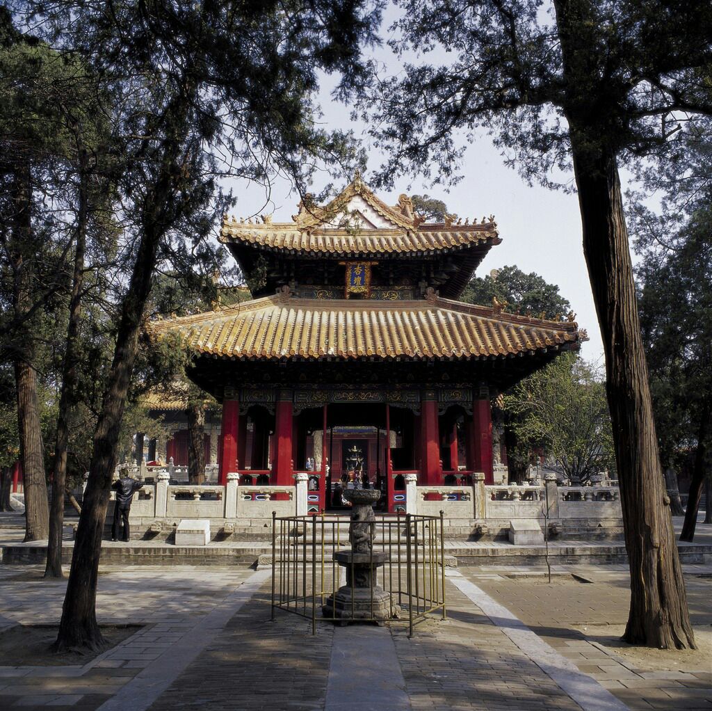 杏坛小巷子里藏着你不知道的那些故事