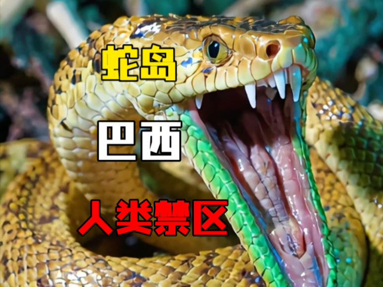 为什么只有蛇岛出名 日本动物主题景点盘点