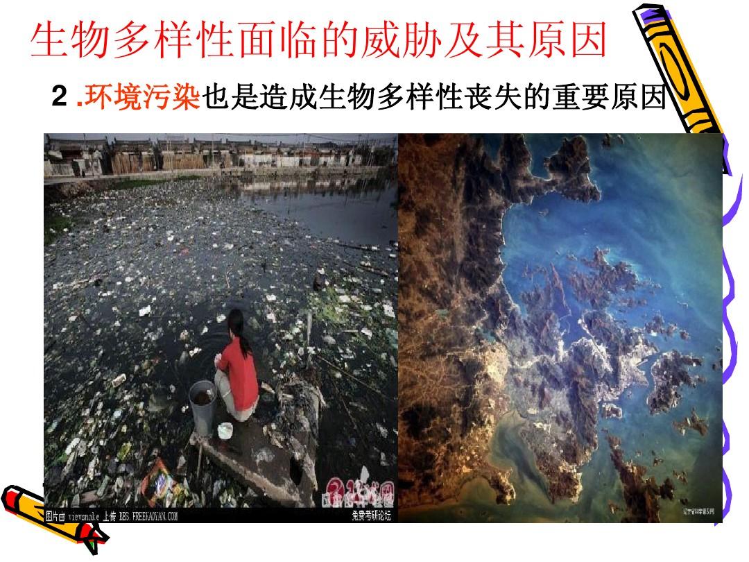 地球环境危机与物种灭绝 男人消失与繁殖期奥秘