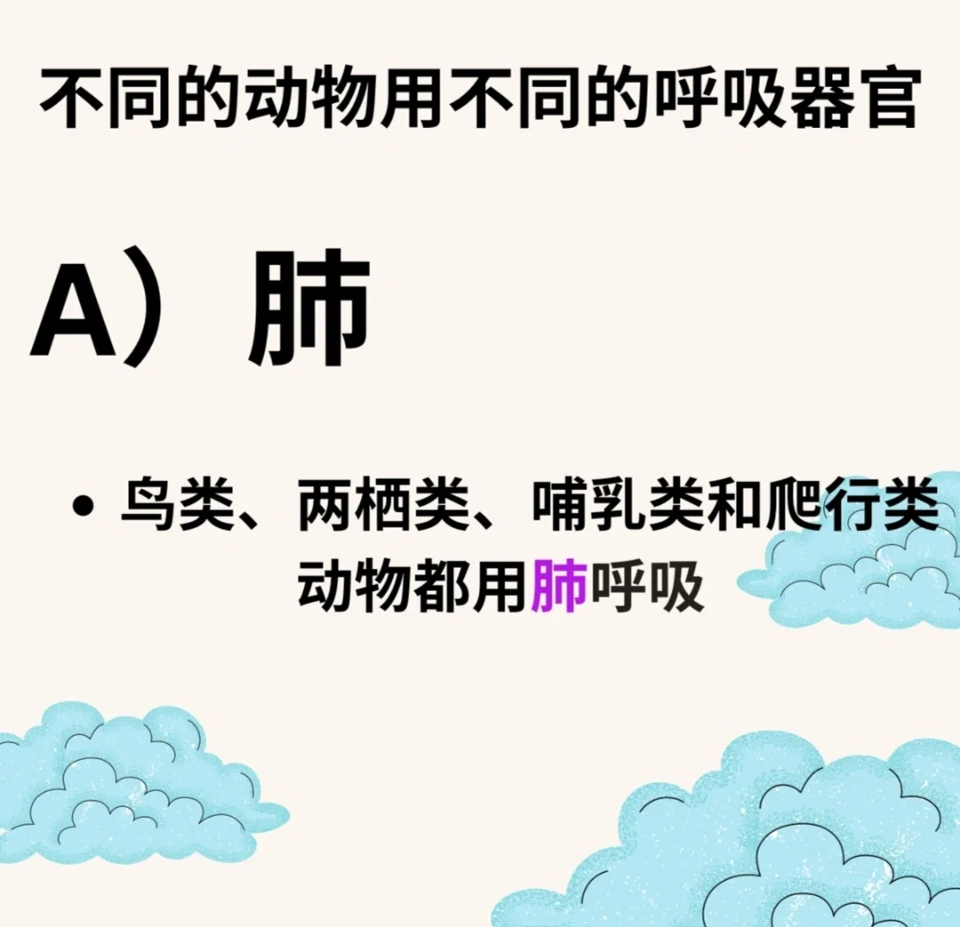 新发现：蝗虫可感知鉴别爆炸物，为什么很多动物都有“...