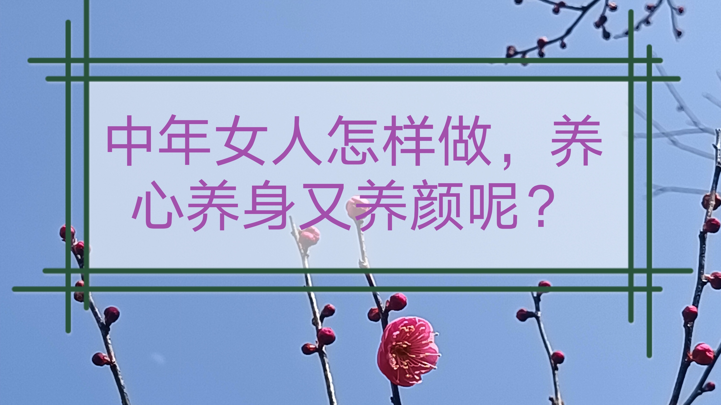 女人中年情感生活指南 忠于自己的幸福法则