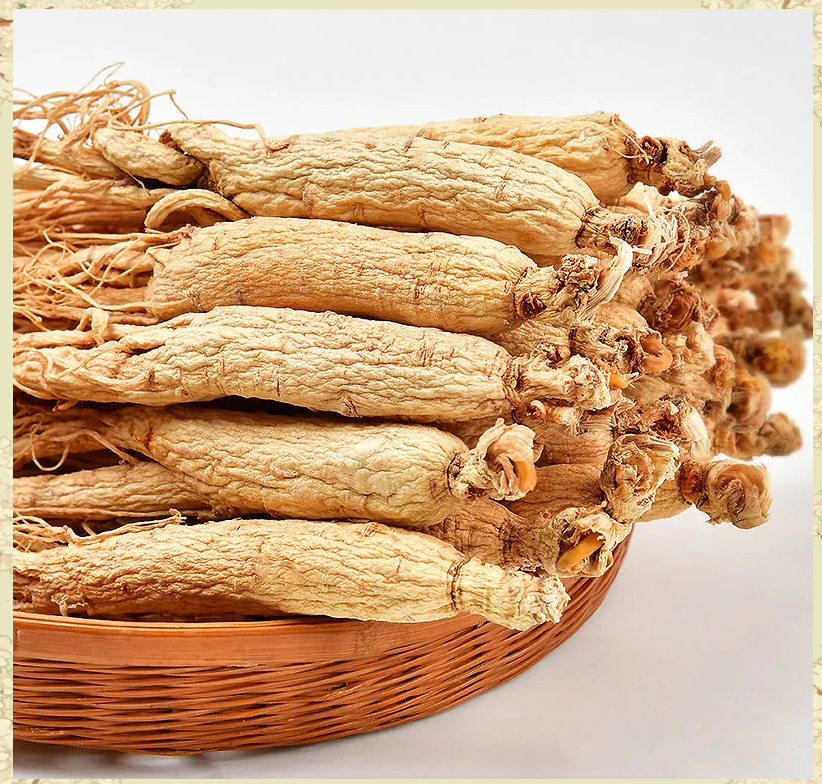 白萝卜小人参 萝卜赛梨是真的吗